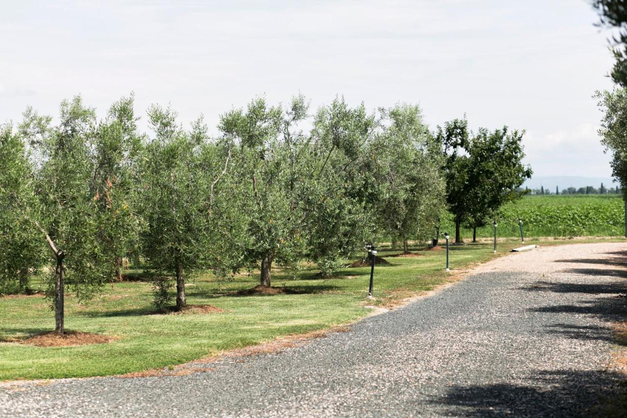 Agriturismo Valdo โกรเซตโต ภายนอก รูปภาพ