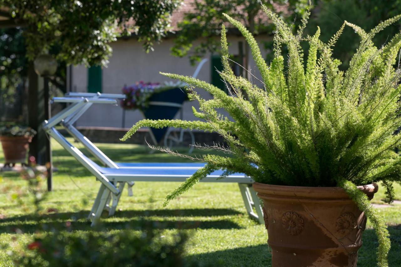 Agriturismo Valdo โกรเซตโต ภายนอก รูปภาพ