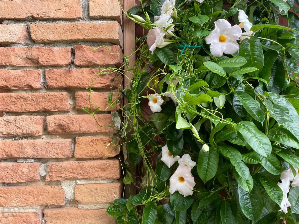 Agriturismo Valdo โกรเซตโต ภายนอก รูปภาพ