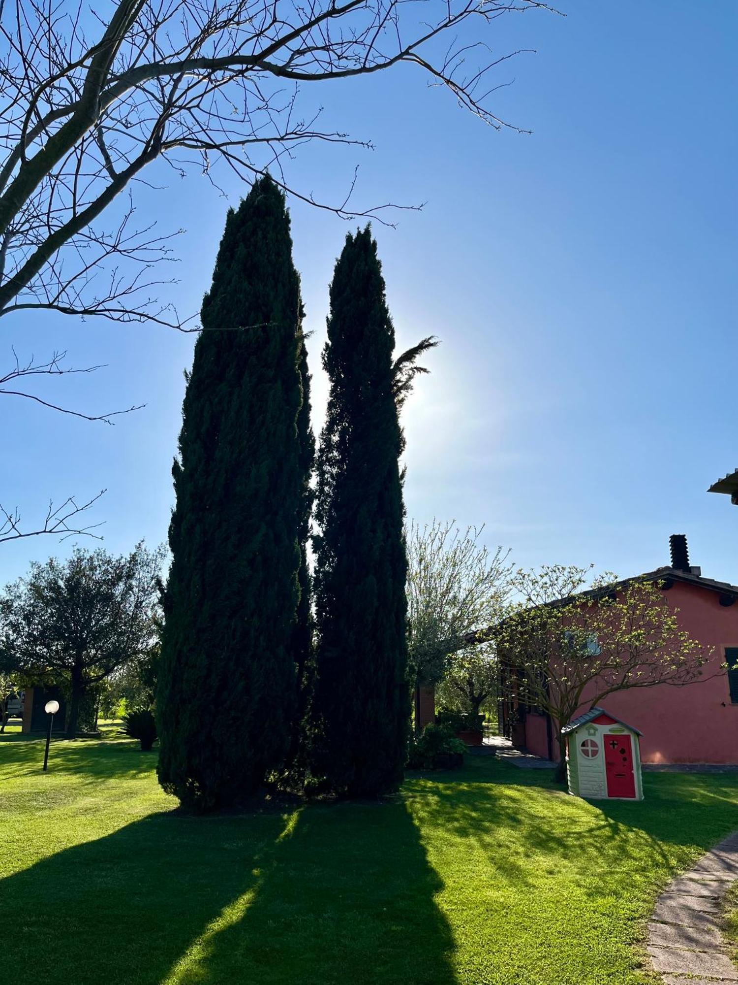 Agriturismo Valdo โกรเซตโต ภายนอก รูปภาพ