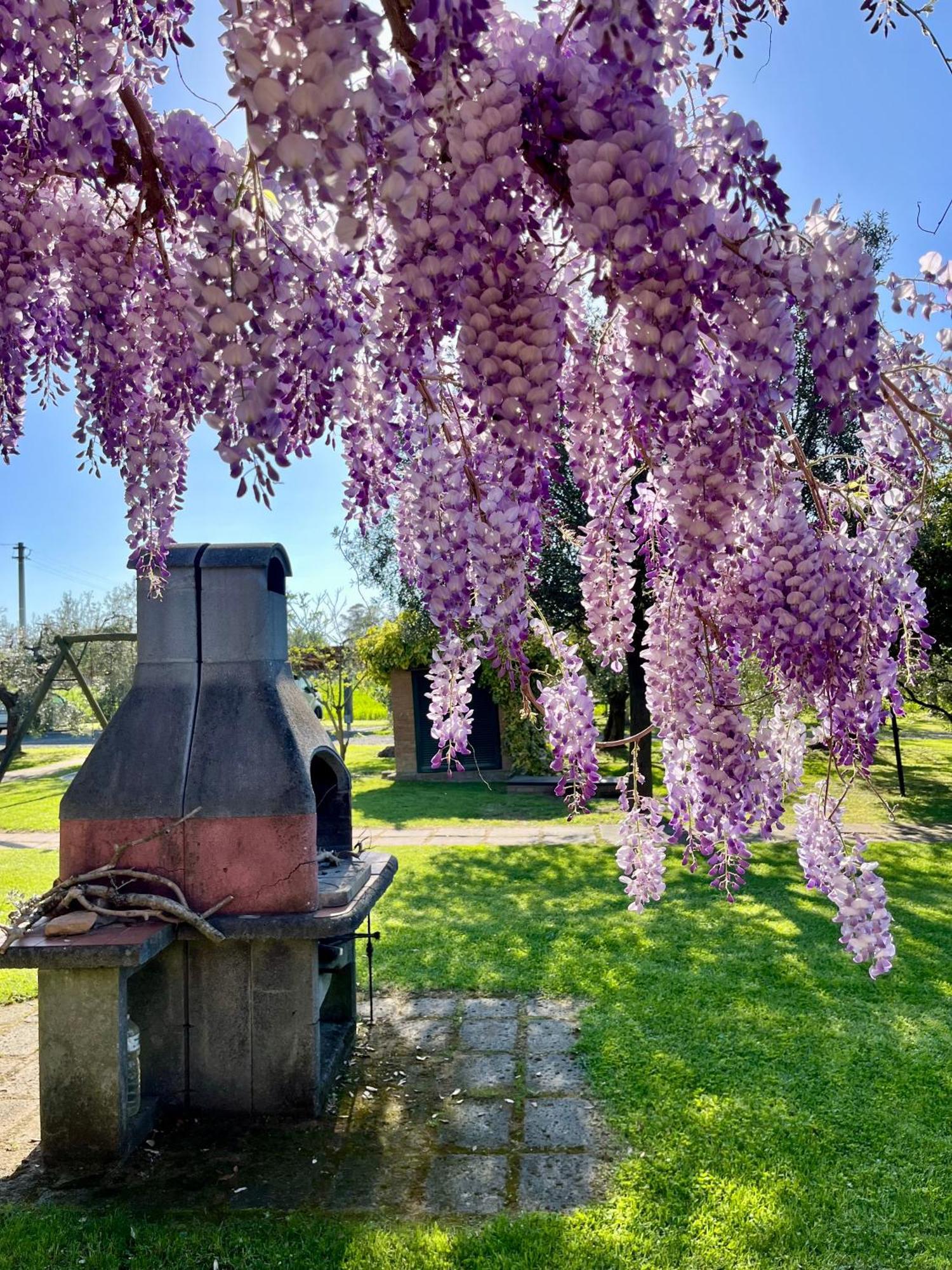 Agriturismo Valdo โกรเซตโต ภายนอก รูปภาพ