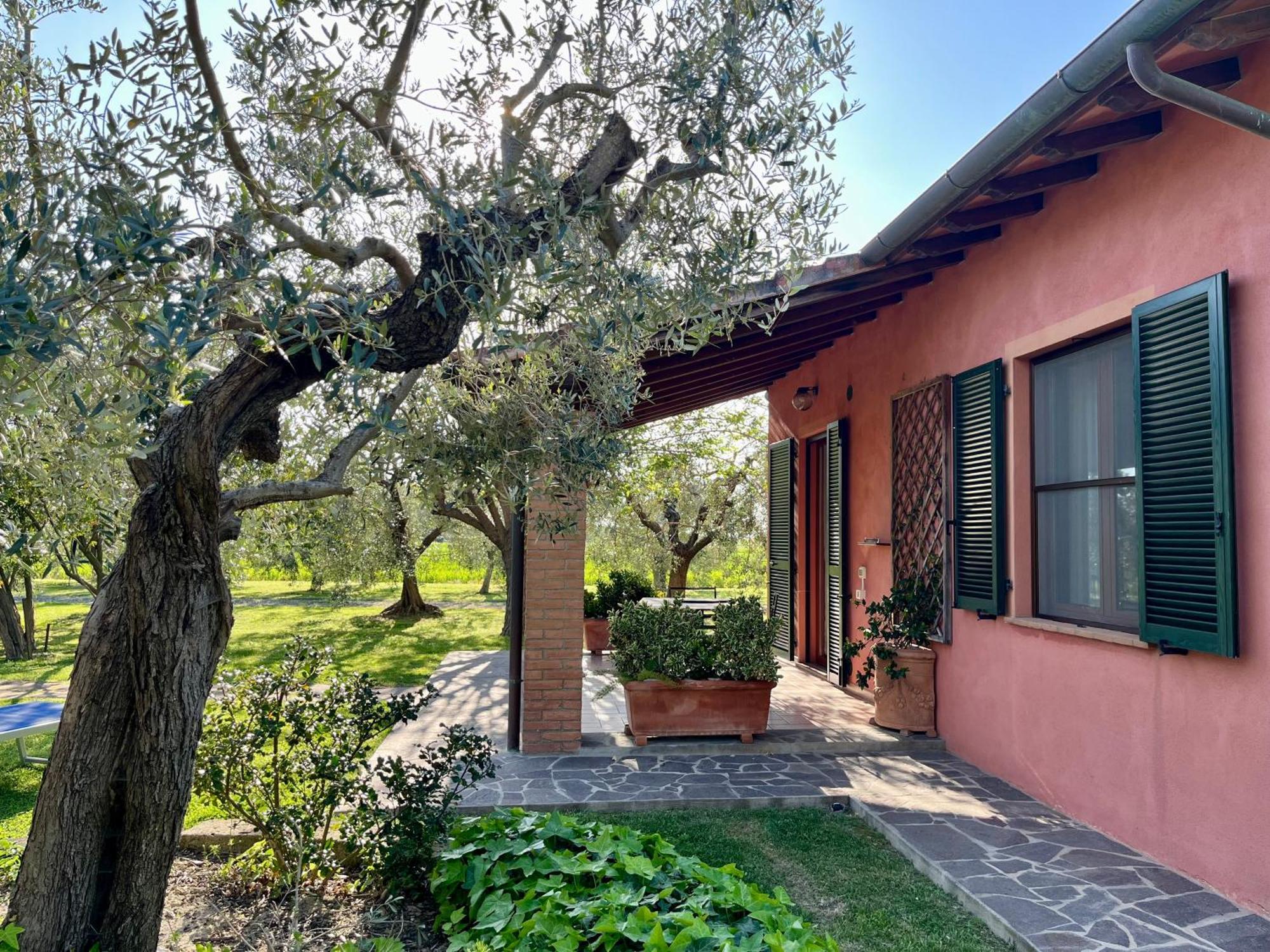 Agriturismo Valdo โกรเซตโต ภายนอก รูปภาพ