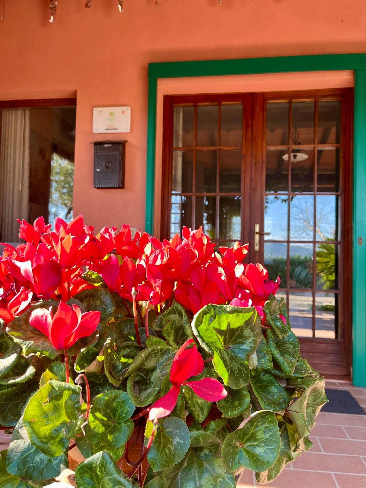 Agriturismo Valdo โกรเซตโต ภายนอก รูปภาพ
