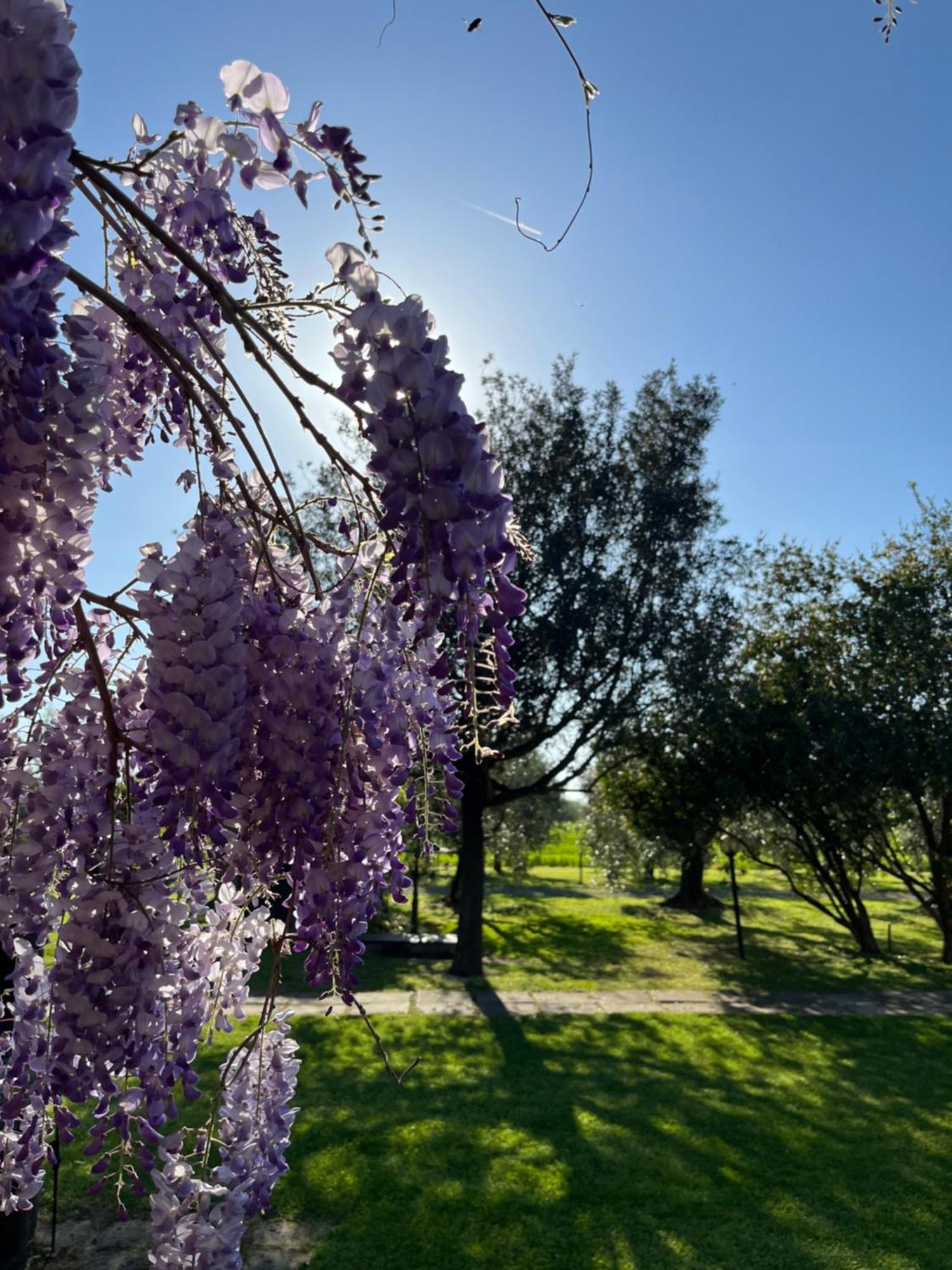 Agriturismo Valdo โกรเซตโต ภายนอก รูปภาพ